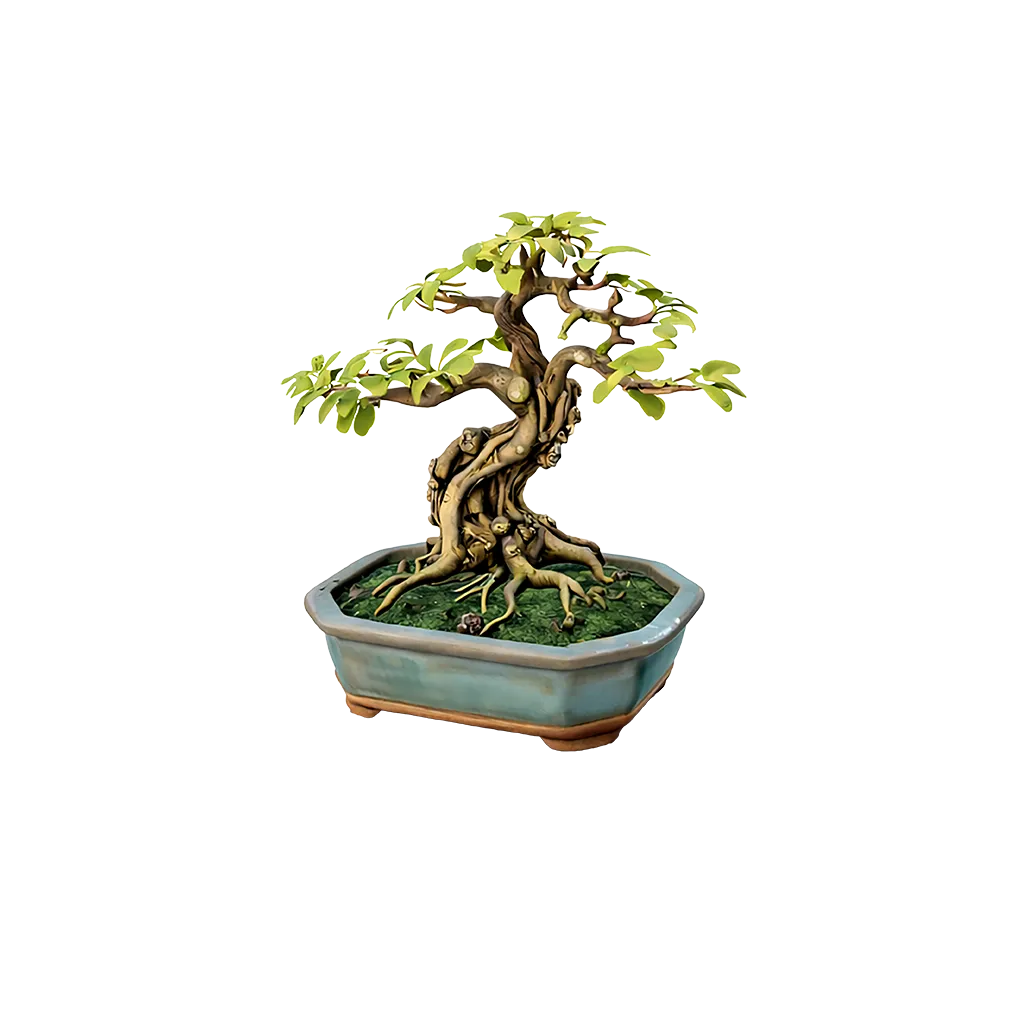 Bonsai Tree