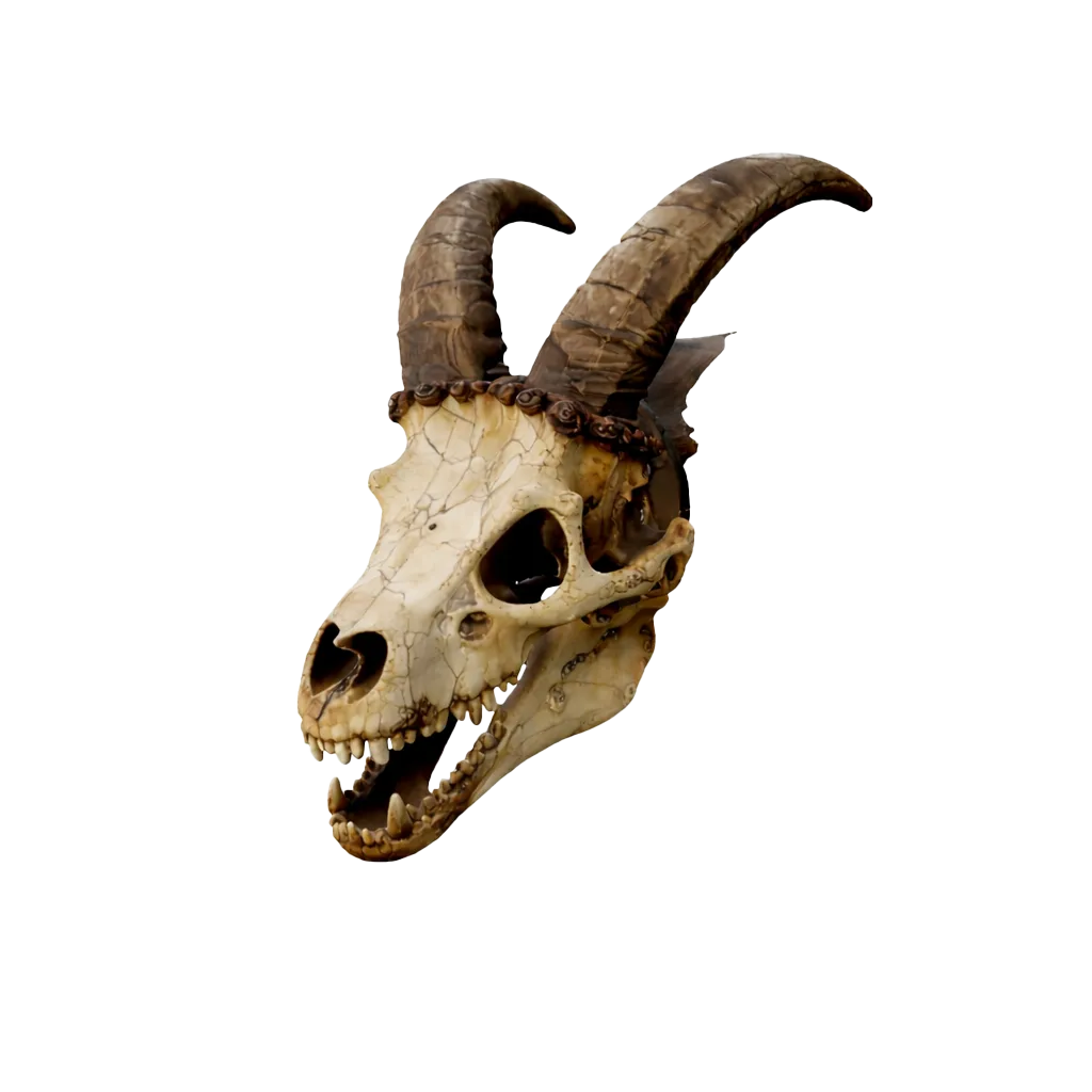 Dragon Skull